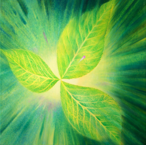 223 / Vzklíčení  / 2018 / olej na plátně / 90 x 90 cm